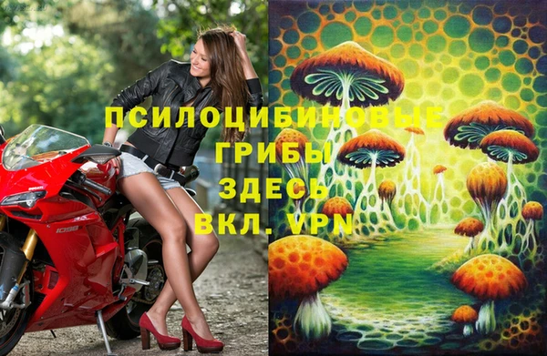 ешки Алексеевка
