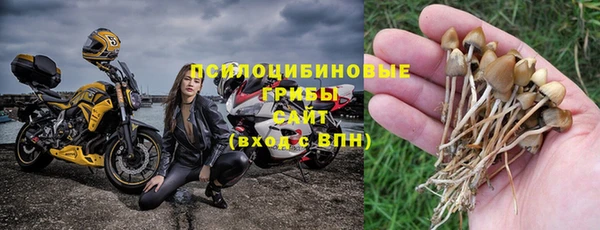 ALPHA PVP Алзамай
