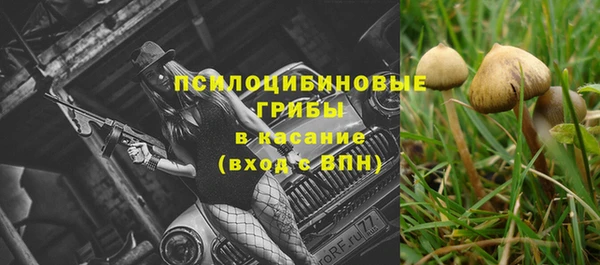 ешки Алексеевка