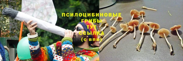 ешки Алексеевка