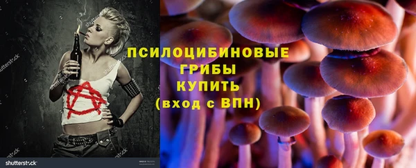 ешки Алексеевка
