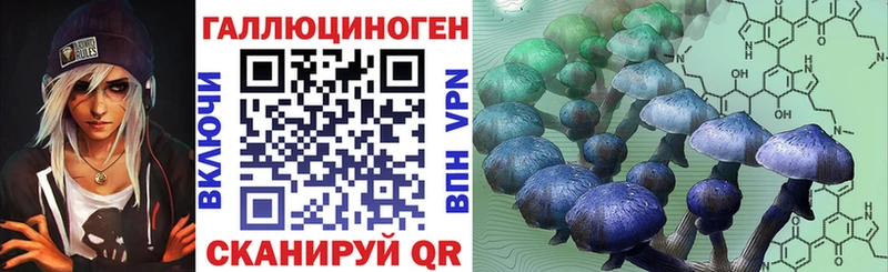 Купить закладки  Сокол  Псилоцибиновые грибы MAGIC MUSHROOMS 